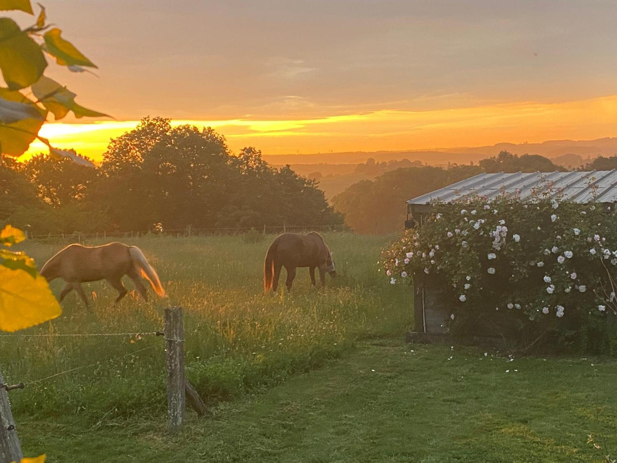 Logement Entier De Charme, Gite Equestre Gers Flamarens Exterior photo