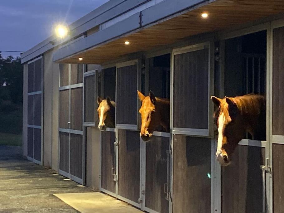 Logement Entier De Charme, Gite Equestre Gers Flamarens Exterior photo
