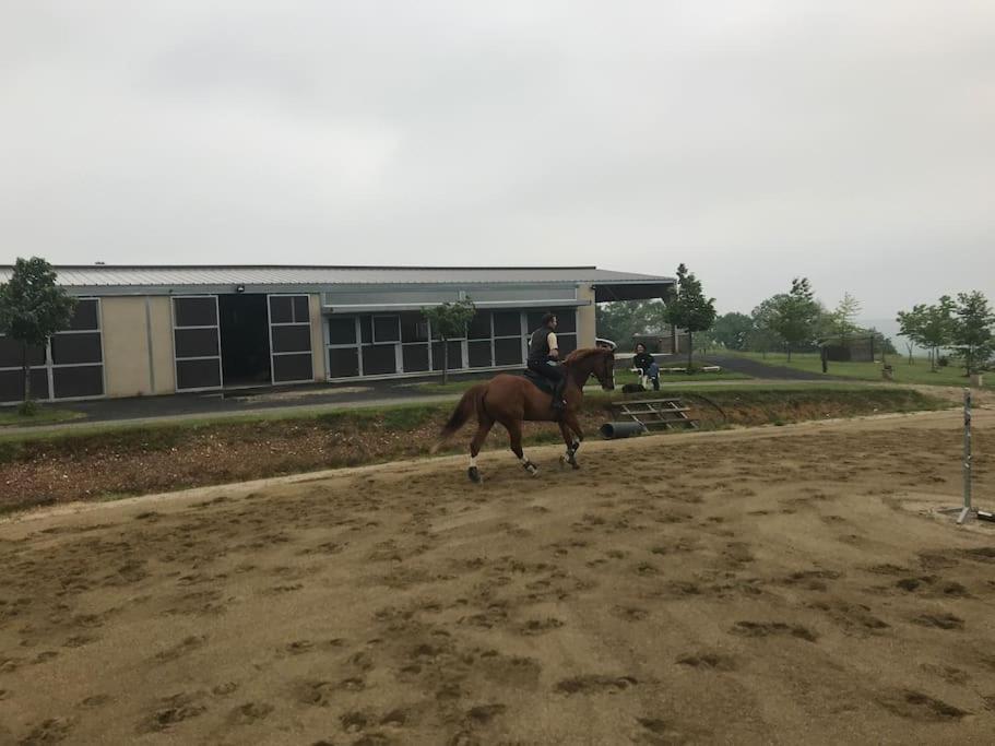Logement Entier De Charme, Gite Equestre Gers Flamarens Exterior photo