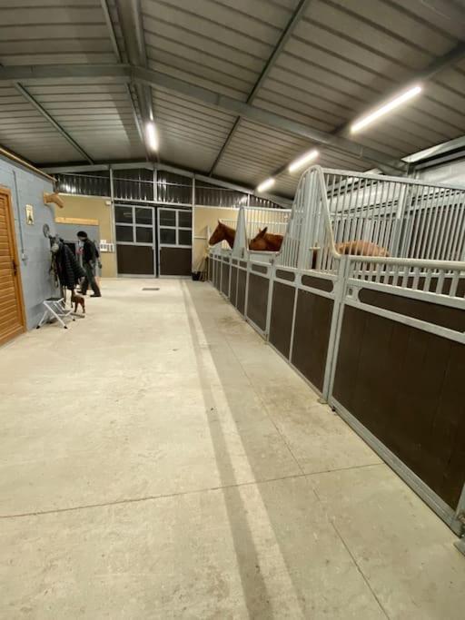 Logement Entier De Charme, Gite Equestre Gers Flamarens Exterior photo