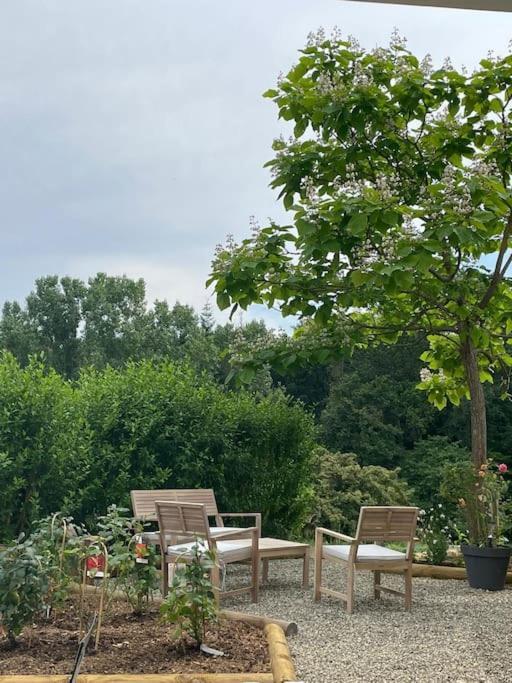 Logement Entier De Charme, Gite Equestre Gers Flamarens Exterior photo
